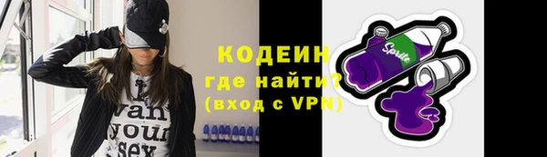гашик Сясьстрой
