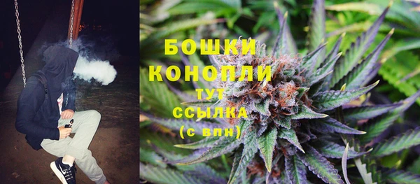 крисы Мещовск