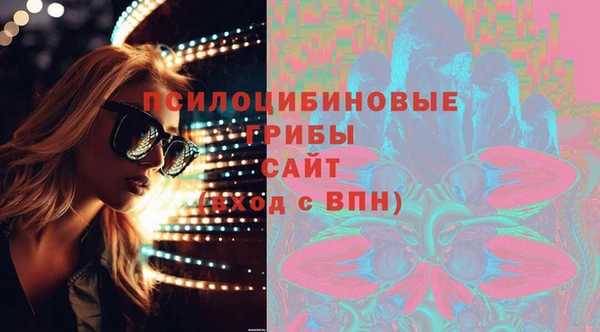МДПВ Вязьма