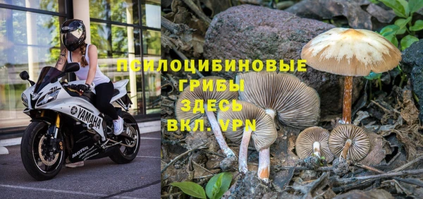 jwh Мензелинск