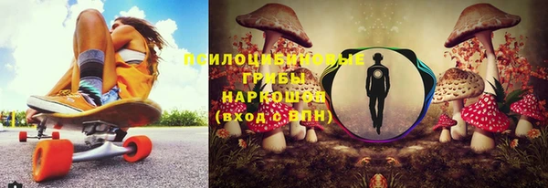 МДПВ Вязьма
