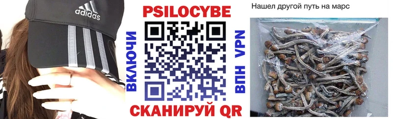 Галлюциногенные грибы GOLDEN TEACHER  купить   Озёры 